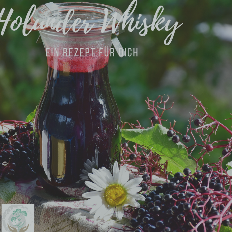 Holunderwhisky
