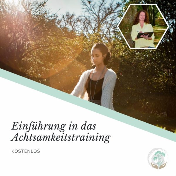 Titelbild Einführung in das Achtsamkeitstraining Frau meditieren in der Natur