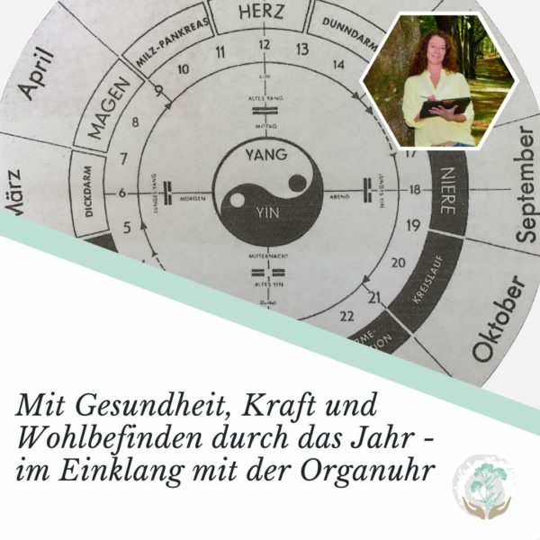 Titelbild Organuhr Organuhr als Scheibe