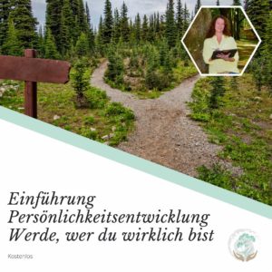 Titelbild Einführung Werde, wer du wirklich bist Weg durch Allee