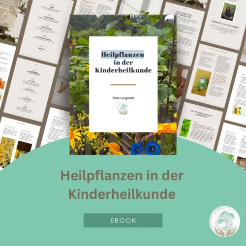 E-Book Heilpflanzen in der Kinderheilkunde