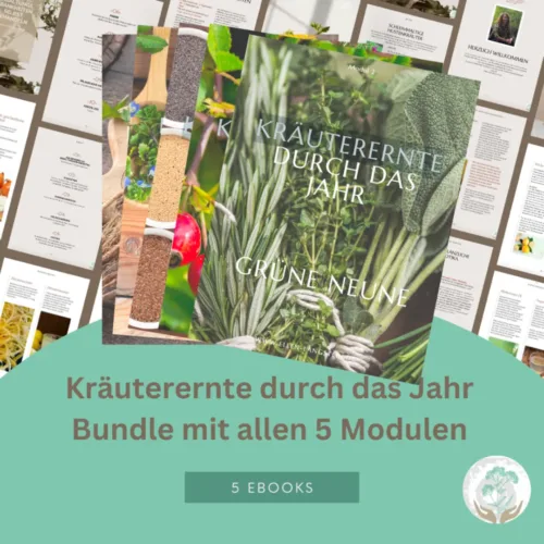E-Book Kräuterernte Bundle
