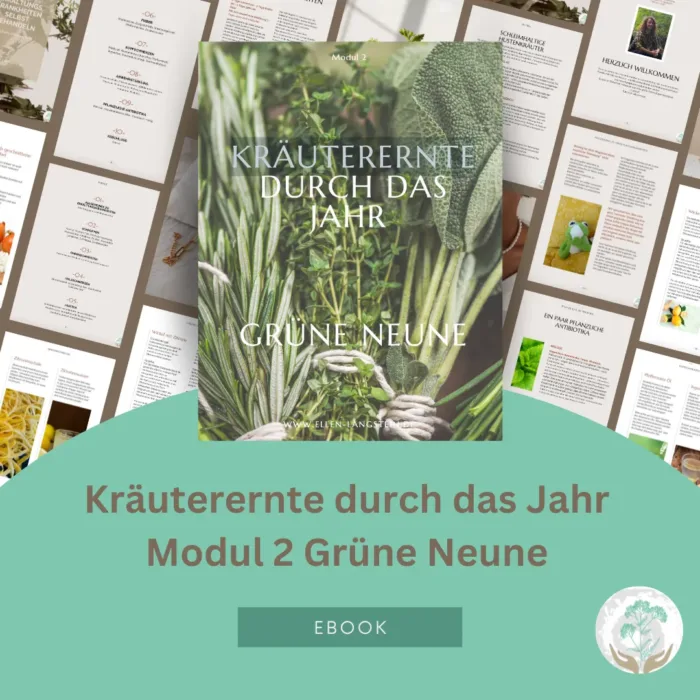 E-Book Kräuterernte Modul 2 Grüne Neune