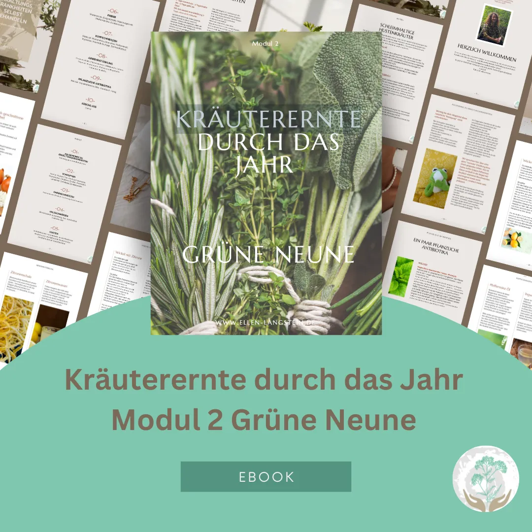 E-Book Kräuterernte Modul 2 Grüne Neune