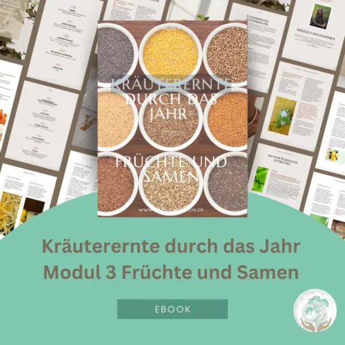 E-Book Kräuterernte Modul3 Früchte und Samen