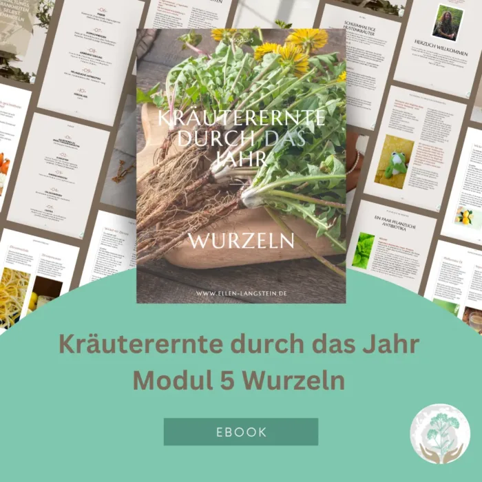 E-Book-Serie Kräuterernte durch das Jahr - Modul 5