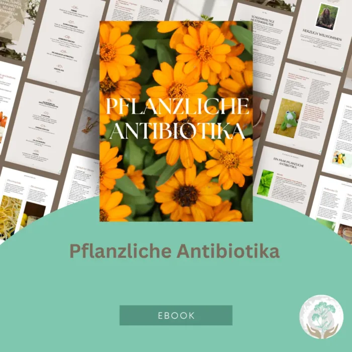 E-Book Pflanzliche Antibiotika