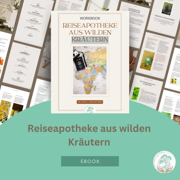 E-Book Reiseapotheke