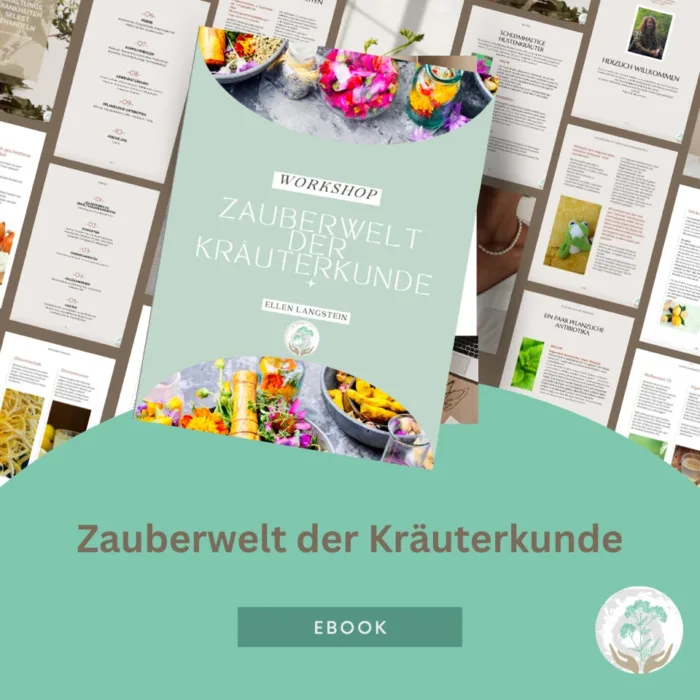 E-Book Mockup - Workshop Zauberwelt der Kraeuterheilkunde