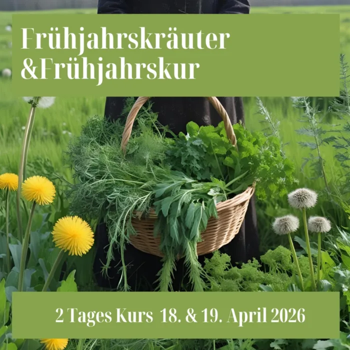Frühjahrskräuter & Frühjahrskur