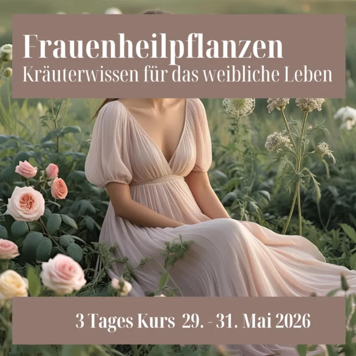 Frauenheilpflanzen – Kräuterwissen für das weibliche Leben
