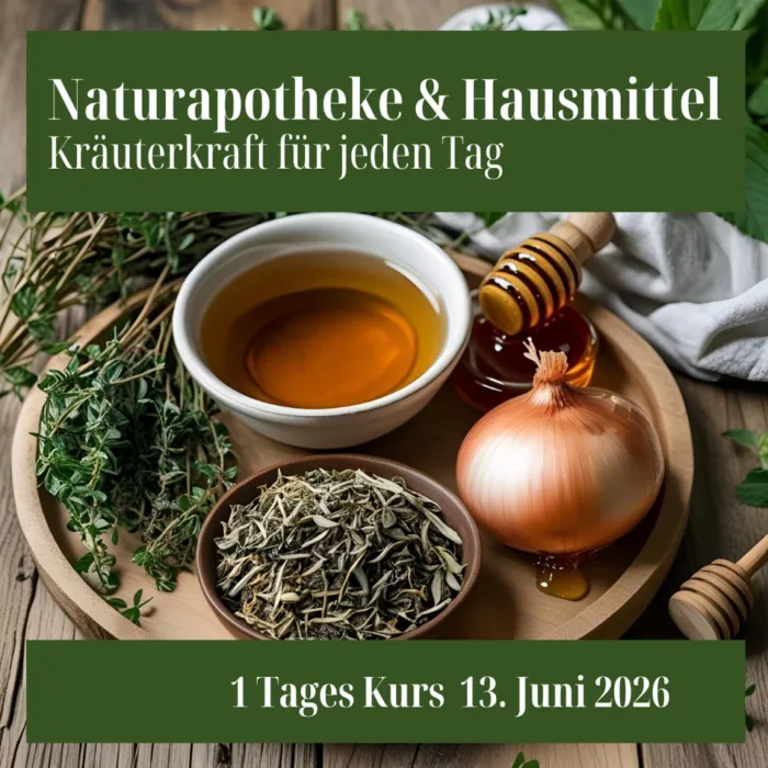 Naturapotheke & Hausmittel – Kräuterkraft für jeden Tag